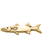 Barracuda