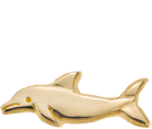 Dolphin